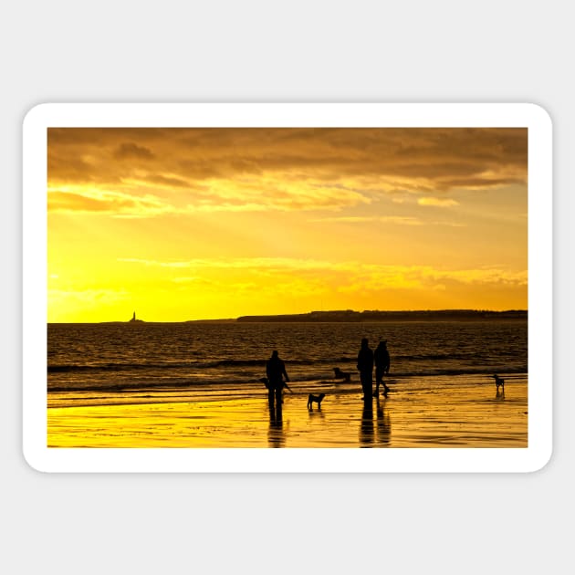 Dog walkers on the beach at sunrise Sticker by Violaman